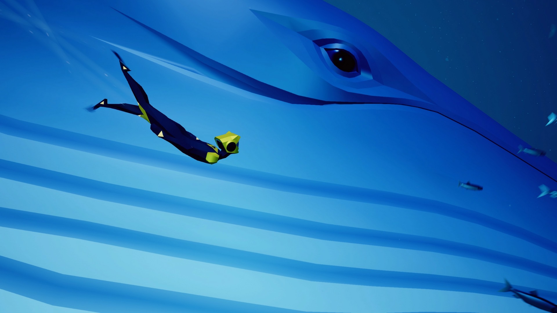 EAC14196-F694-4185-904C-751094010E53