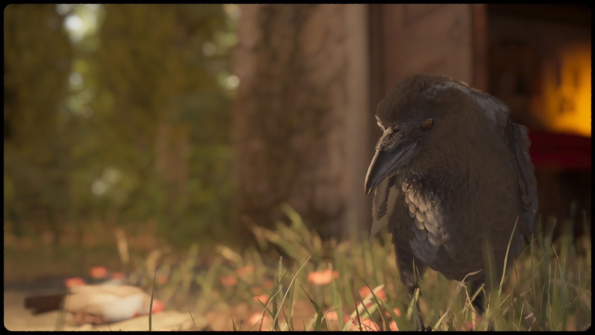 59DBB309-B2E7-4DC4-A906-FF77986C73EB